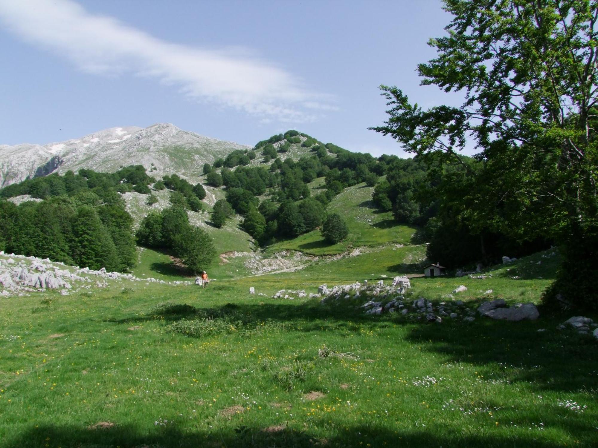 B&B Vivilmatese Roccamandolfi Екстер'єр фото