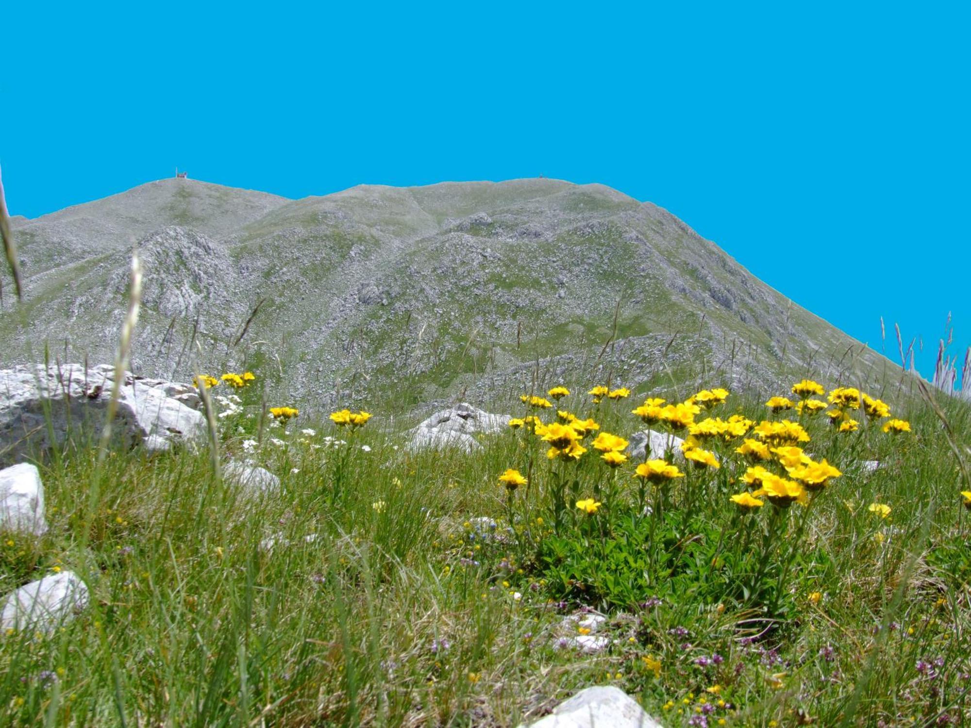 B&B Vivilmatese Roccamandolfi Екстер'єр фото