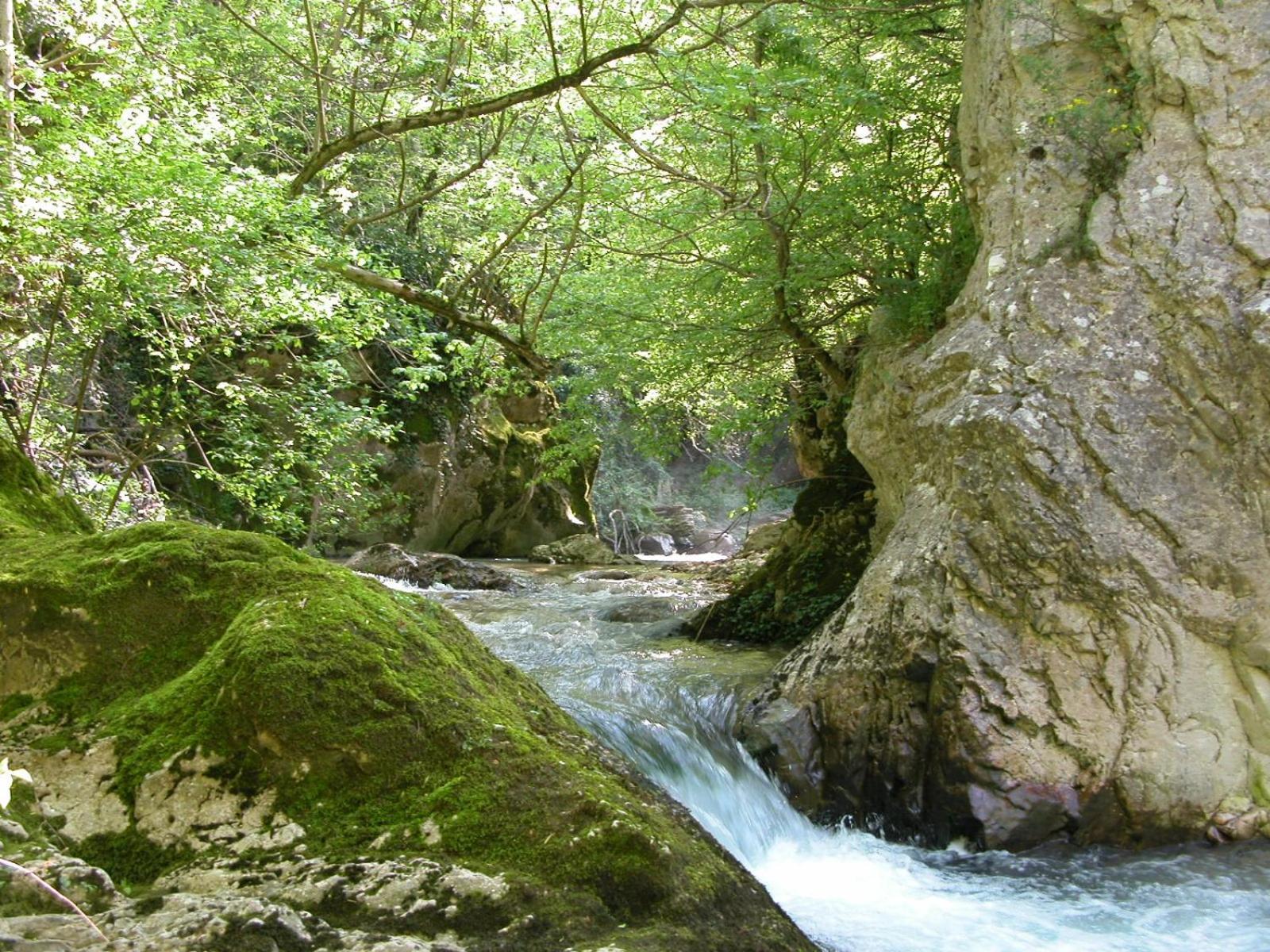 B&B Vivilmatese Roccamandolfi Екстер'єр фото